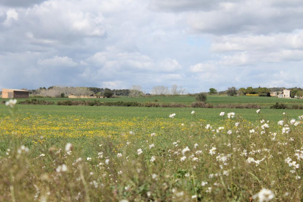 Apartmán Allotjament Bora Bora Emporda Girona Verges Exteriér fotografie